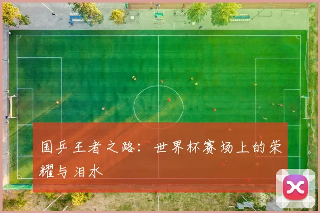 国乒王者之路：世界杯赛场上的荣耀与泪水