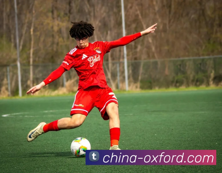 星空体育首页官网平台生态图